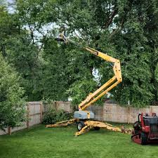 Best Commercial Tree Services  in Smithsburg, MD