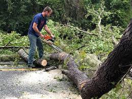 Best Tree and Shrub Care  in Smithsburg, MD